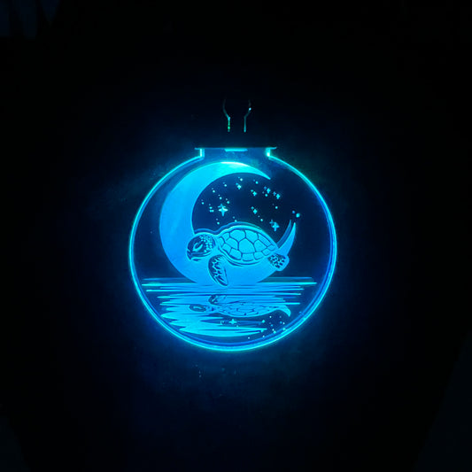 Turtle Moon