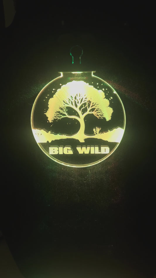 Big Wild