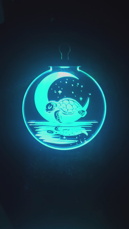 Turtle Moon